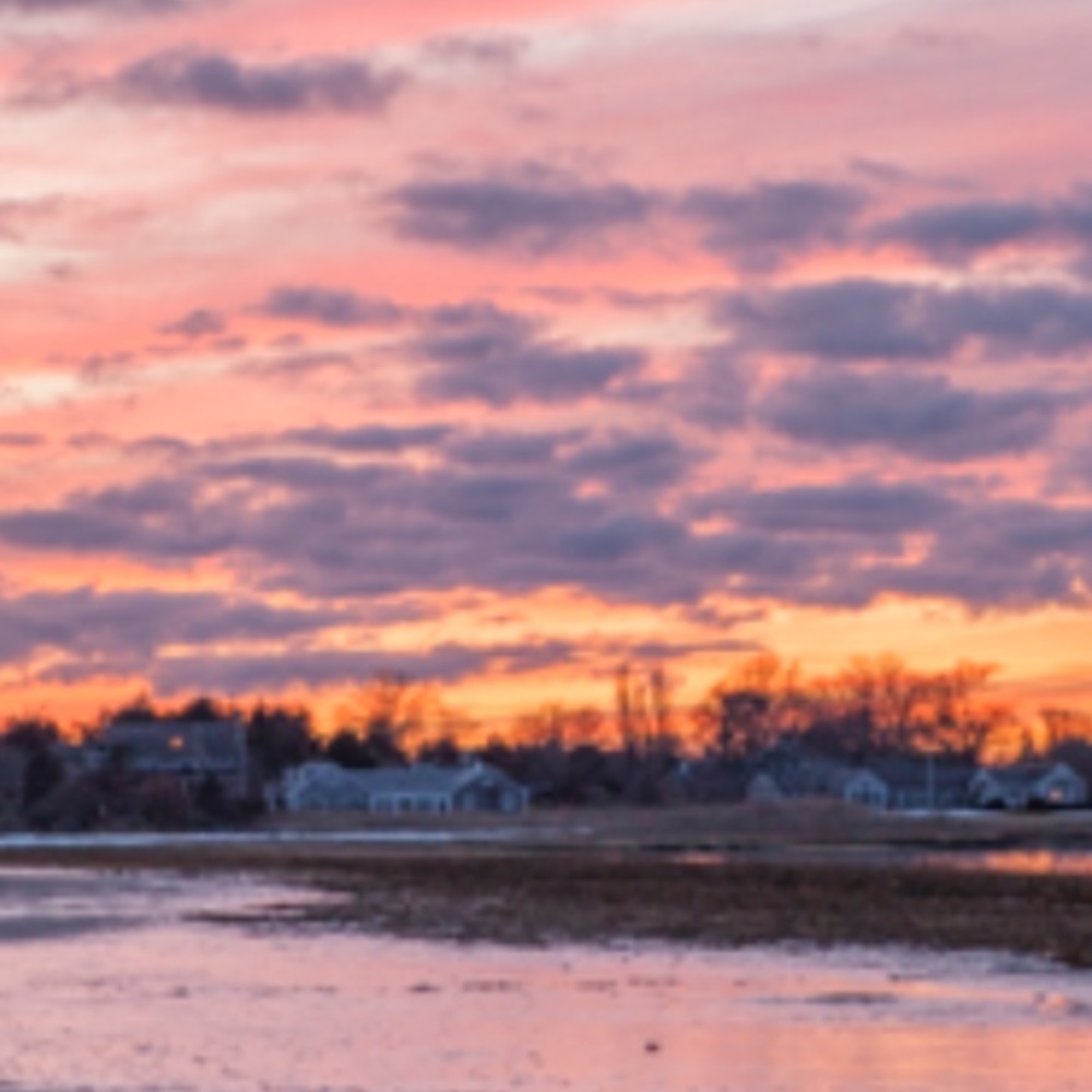 Meet your Posher, Posh